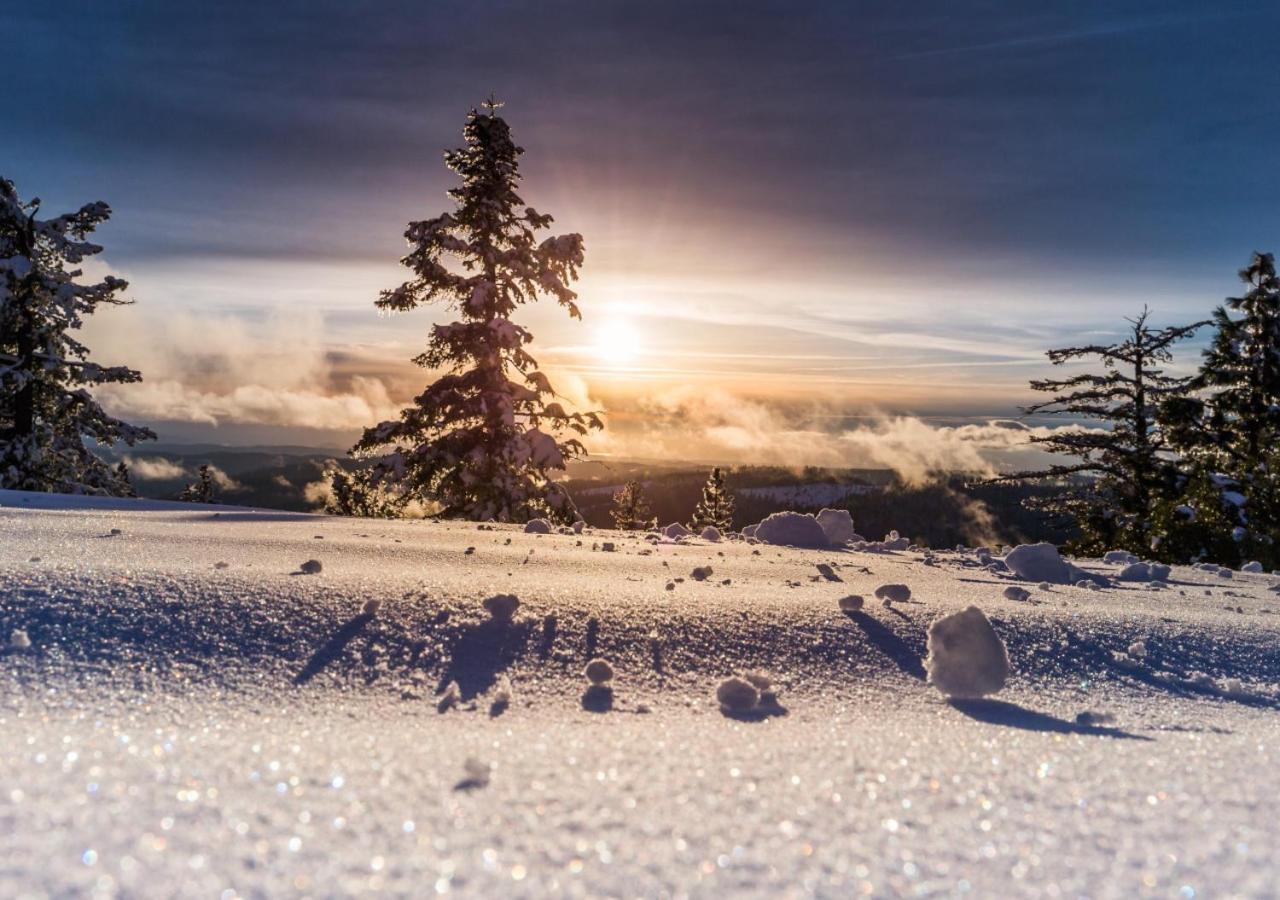 Fewo Gabi Haus Pacher Sankt Peter am Kammersberg Exteriér fotografie