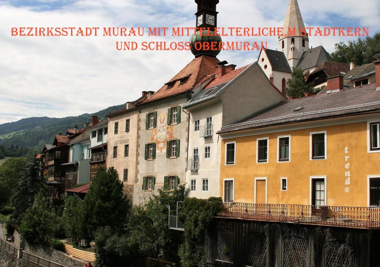 Fewo Gabi Haus Pacher Sankt Peter am Kammersberg Exteriér fotografie