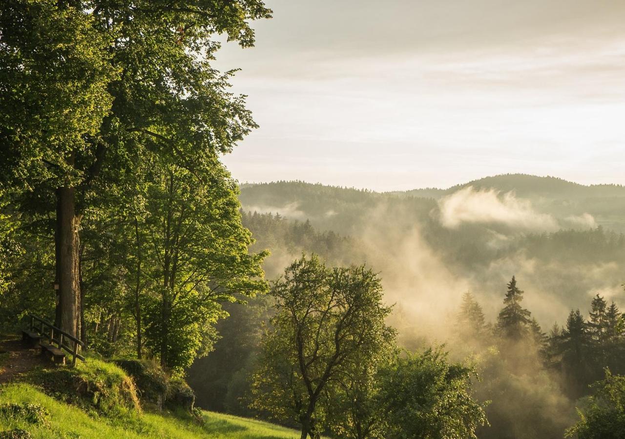 Fewo Gabi Haus Pacher Sankt Peter am Kammersberg Exteriér fotografie